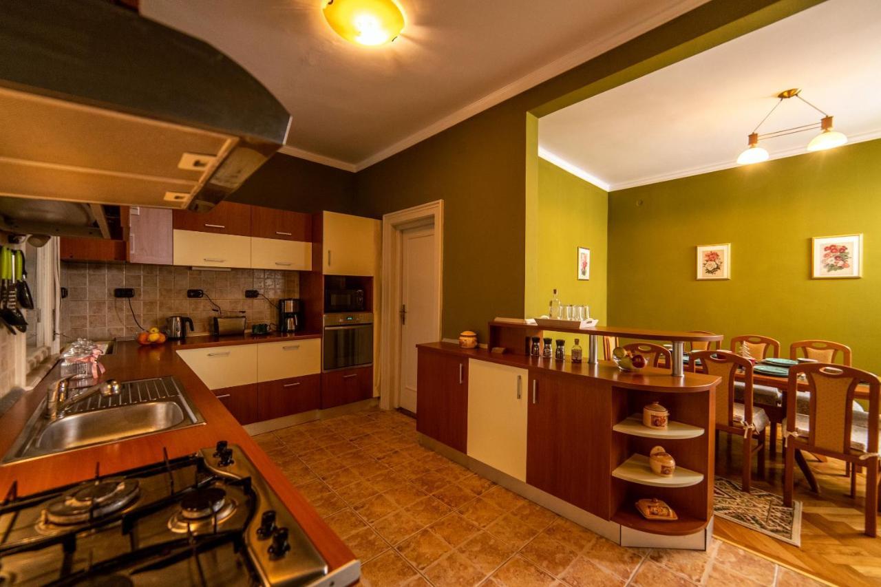 City House Temeşvar Dış mekan fotoğraf