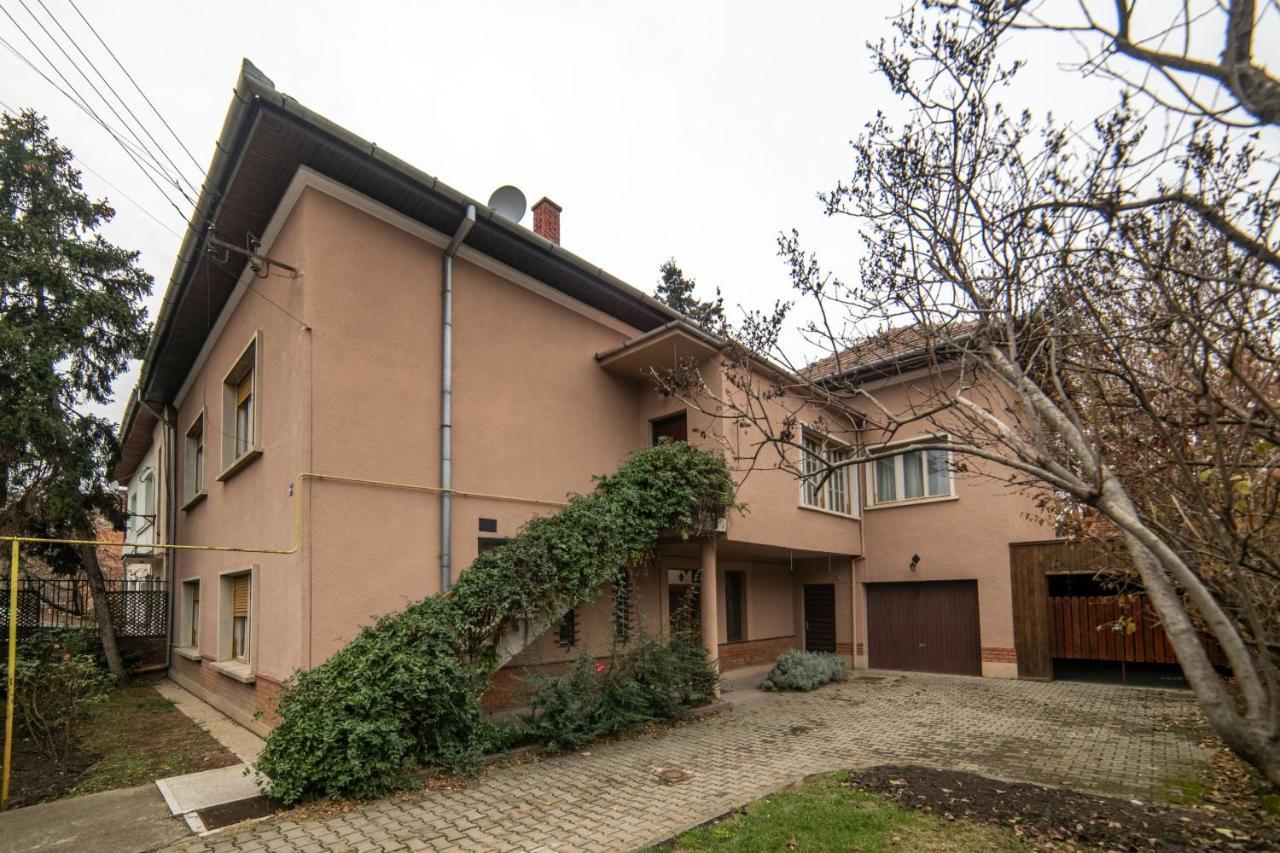 City House Temeşvar Dış mekan fotoğraf