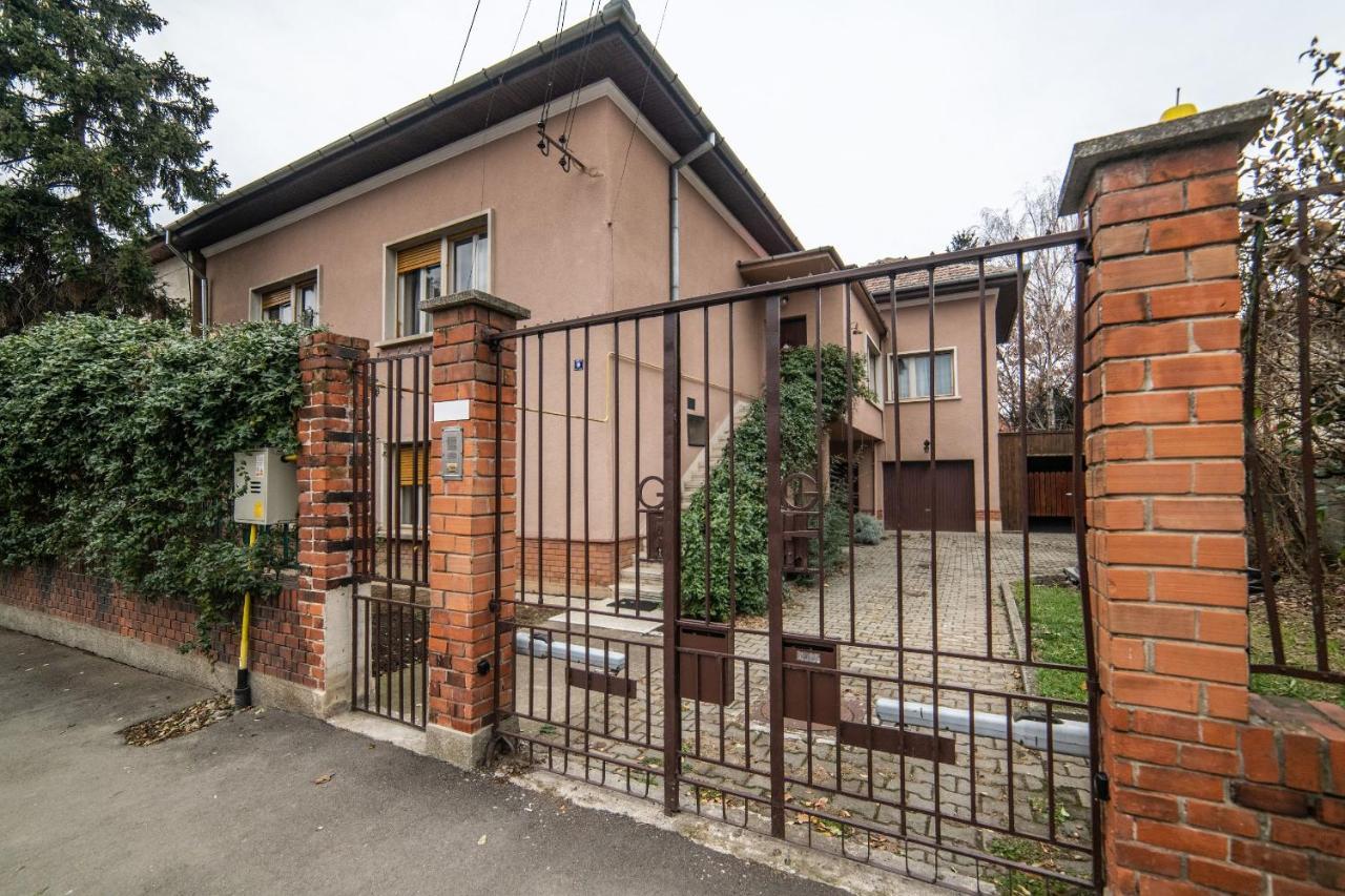 City House Temeşvar Dış mekan fotoğraf